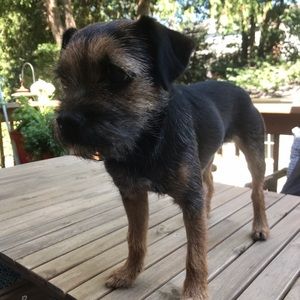 Meet your Posher, Julie